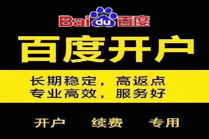 竞价代运营的案例研究：如何精准投放广告并获得回报